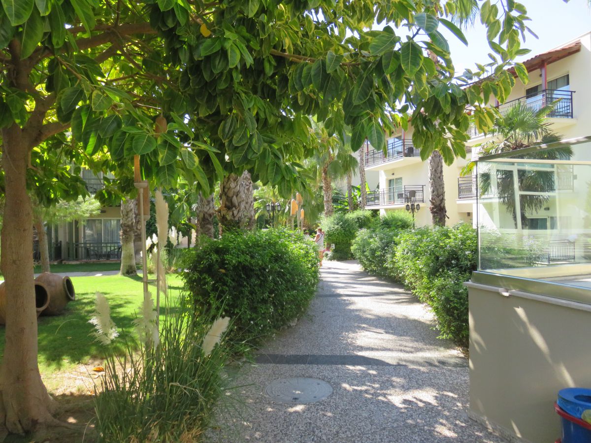 imagini hotel PALOMA OCEANA